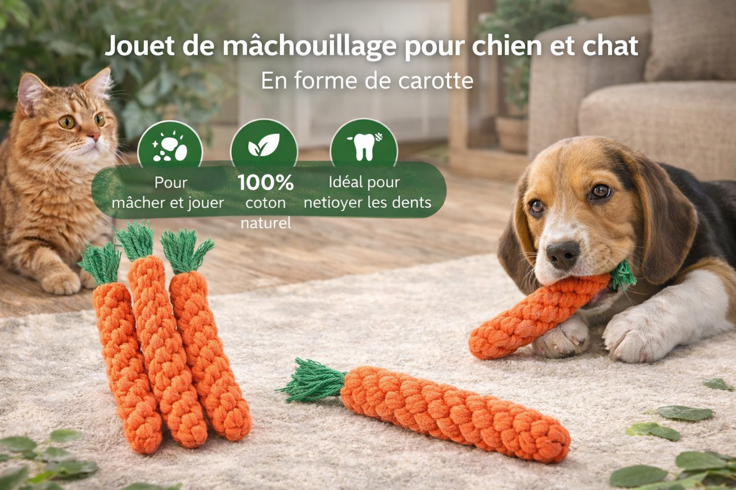 Jouet à Mâcher Résistant pour Chien, Des Dents Saines et des Heures de Bonheur au Quotidien