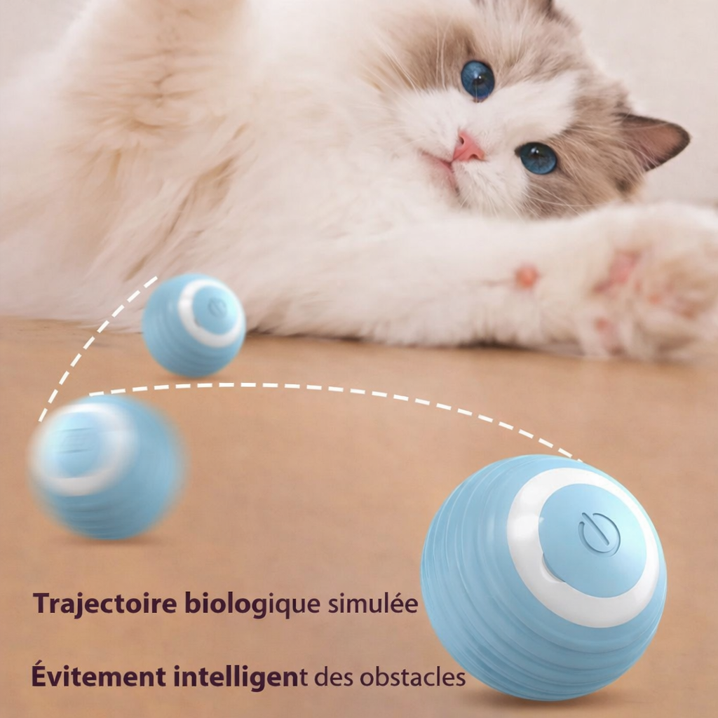 Balle Interactive pour Chat, Des Heures de Jeu, de Calme et de Bonheur au Quotidien