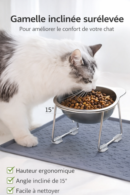 Gamelle Surélevée Inclinée pour Chat et Chiot, Repas Confortables et Posture Respectée au Quotidien