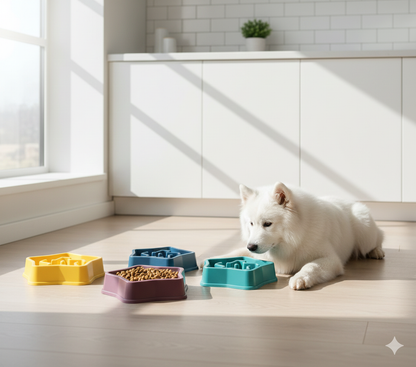 Gamelle anti-glouton pour animaux de compagnie (chat et chien)