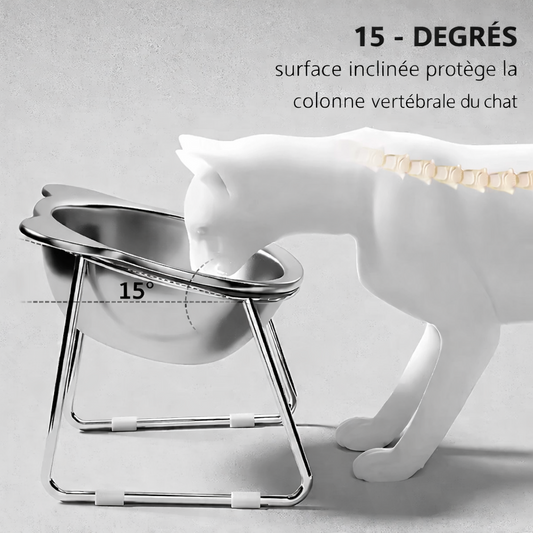 Gamelle Surélevée Inclinée pour Chat et Chiot, Repas Confortables et Posture Respectée au Quotidien