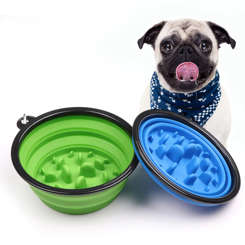 Gamelle Anti-Glouton Premium pour Chien et Chat, Alimentation Lente Anti-Étouffement, Design Pliable et Nomade pour un Repas Sain et Maîtrisé